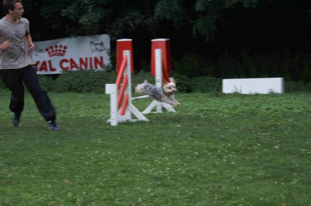 agility 2011-09